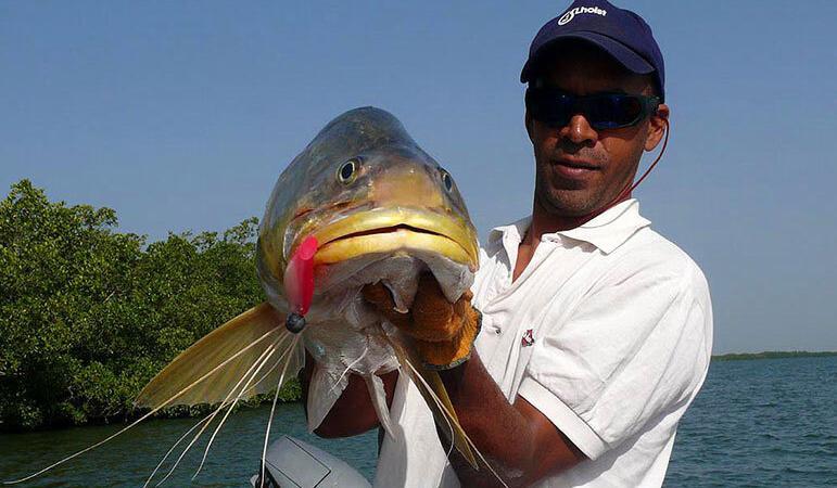 pêche du poisson capitaine