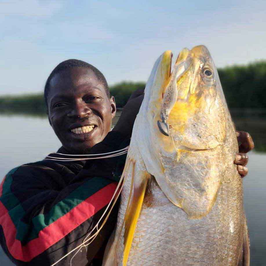 Predator fishing trip in Casamance, threadfin and jack