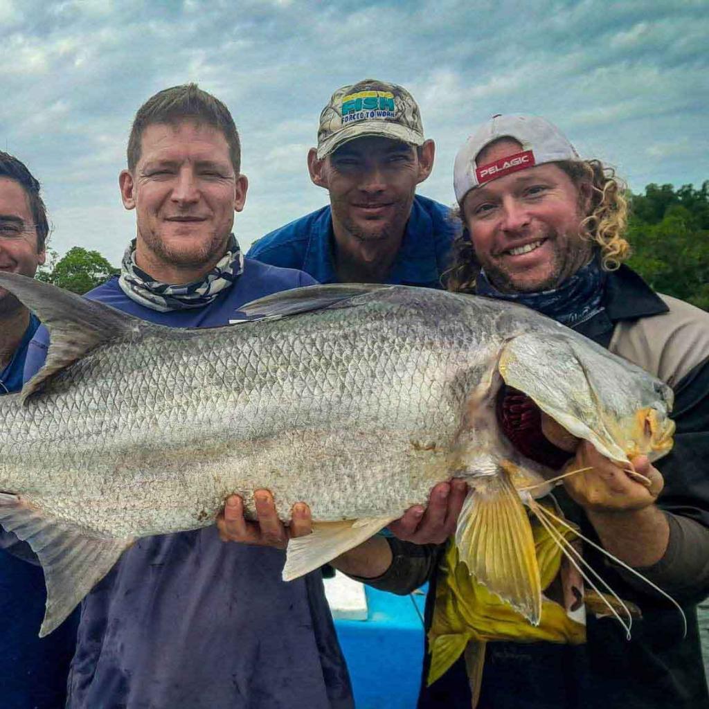 Trophy threadfin brought to the boat, Casamance river