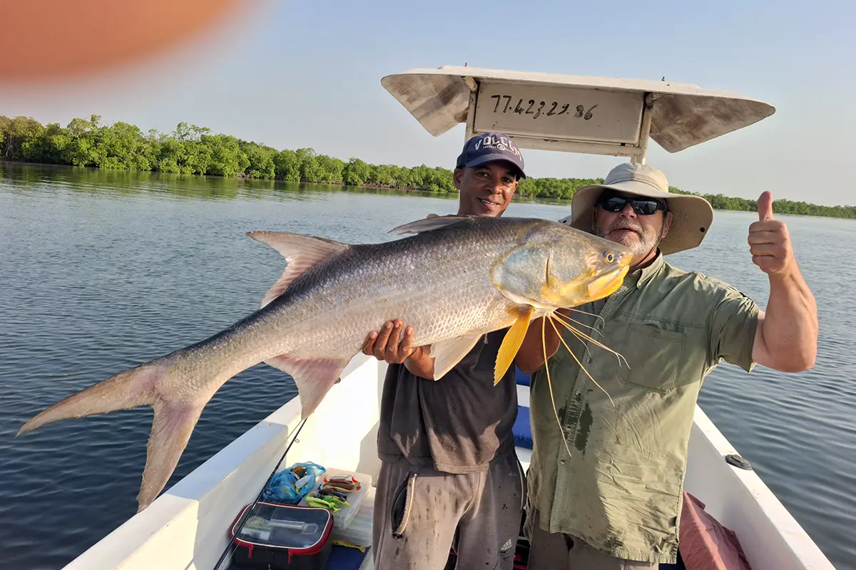 A fine threadfin brought aboard, Casamance, Senegal